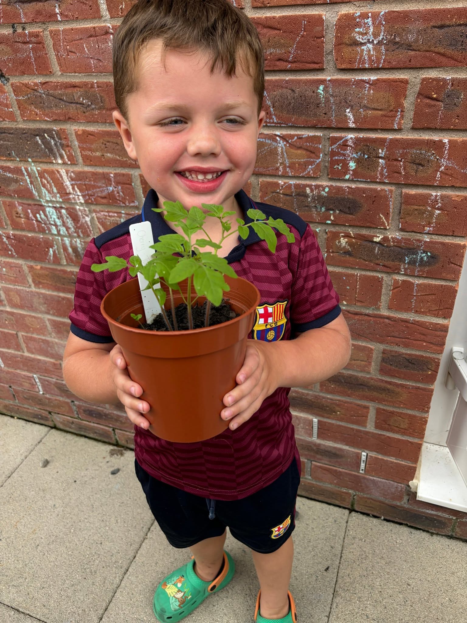 Garden Competition 2026